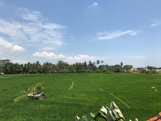 Heavenly View Villa Ubud Kültér fotó