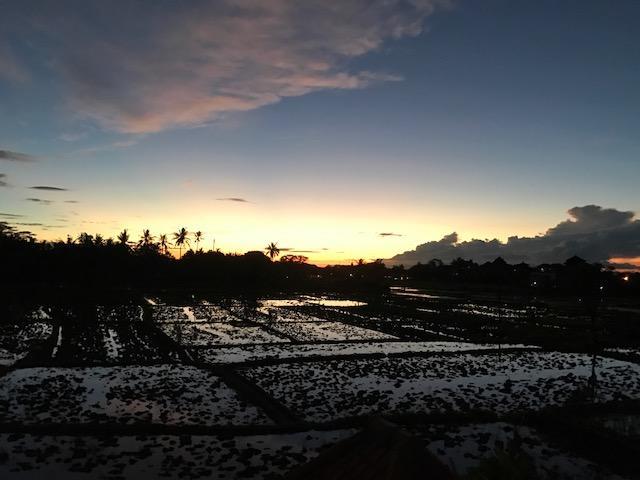 Heavenly View Villa Ubud Kültér fotó
